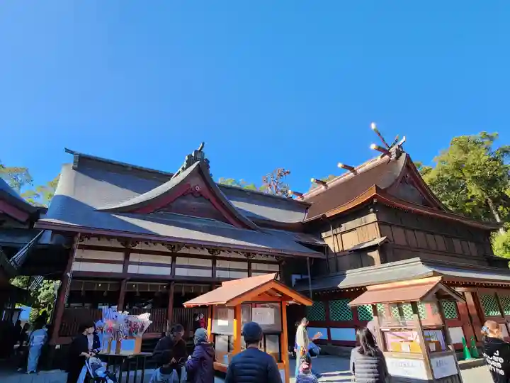 鹿児島神宮の本殿・本堂