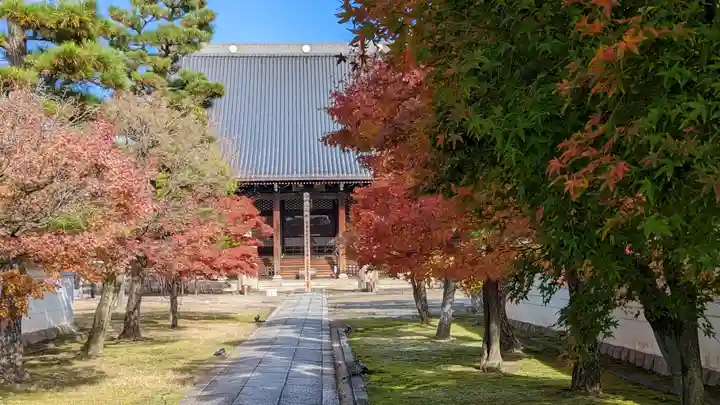 妙顯寺(妙顕寺)(京都府)