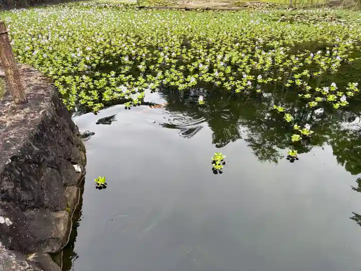 秋葉總本殿可睡斎(静岡県)