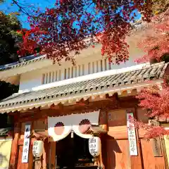 目の霊山　油山寺(静岡県)