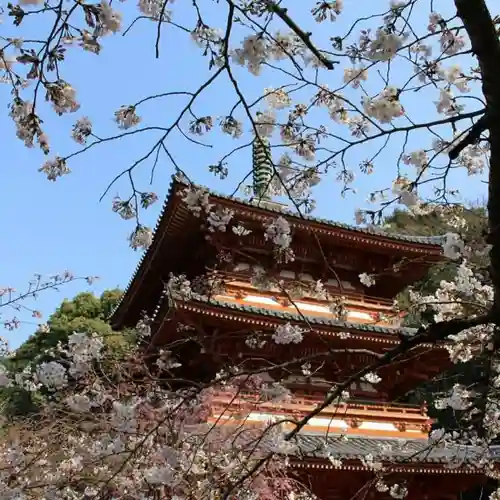 清水寺の自然