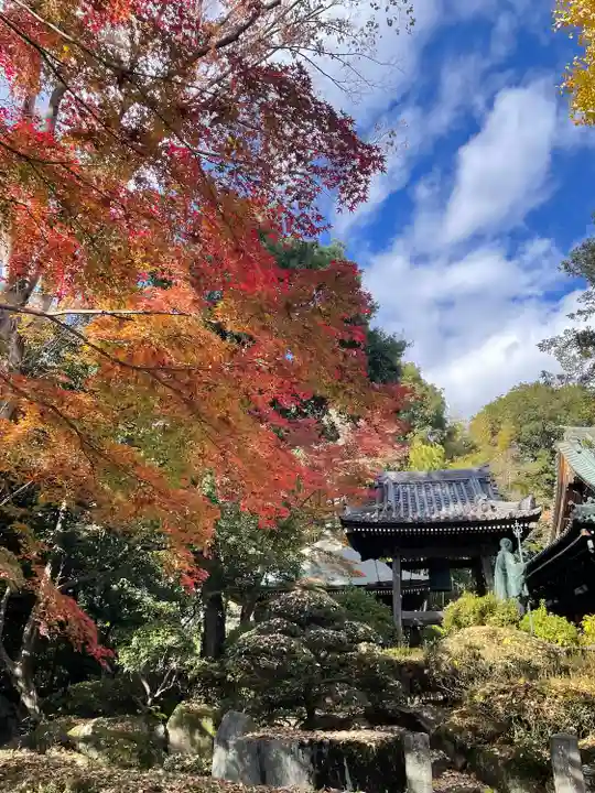 安養院(東京都)