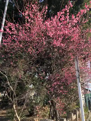 高座結御子神社（熱田神宮摂社）の自然