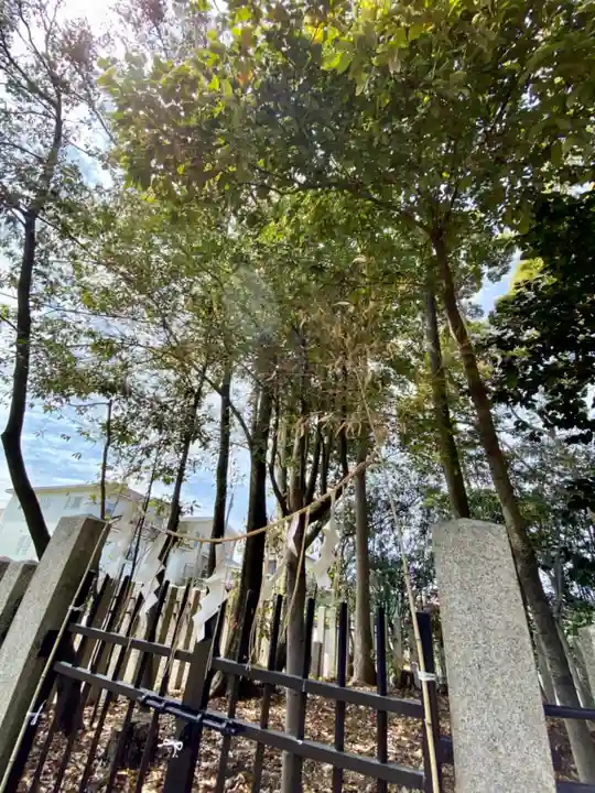 許波多神社(小幡東中鎮座)の自然