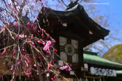 大宮八幡宮(東京都)