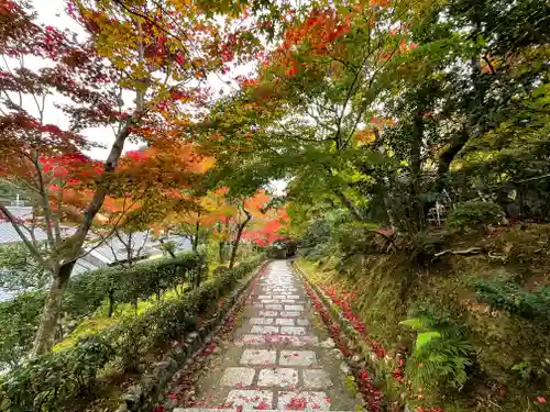 化野念仏寺の景色