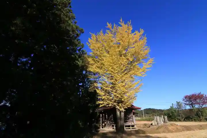 山神社の自然