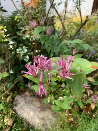 正伝護国禅寺(正伝寺･正傳寺)(京都府)