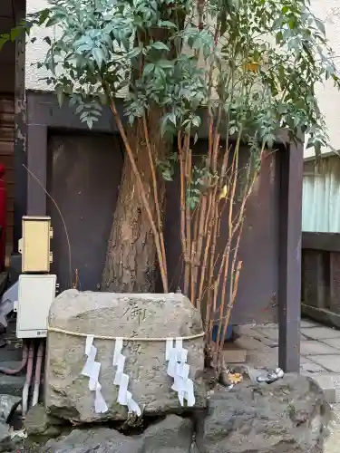 五柱稲荷神社の{uncategorized: "未分類", other: "その他", undefined: "問題あり", building: "その他建物", grave: "お墓", sacred_gate: "鳥居", guardian: "狛犬", statue: "像", buddha: "仏像", history: "歴史", nature: "自然", garden: "庭園", animal: "動物", pagoda: "塔", temizu: "手水舎", mountain_gate: "山門・神門", sanctuary: "本殿・本堂", subordinate: "末社・摂社", art: "芸術", scenery: "景色", jizo: "地蔵", ema: "絵馬", goshuin: "御朱印", omikuji: "おみくじ", items: "授与品その他", amulet: "お守り", goshuincho: "御朱印帳", eats: "食事", festival: "お祭り", votive_dance: "神楽", shichigosan: "七五三参", wedding: "結婚式", experience: "体験その他", initially: "初詣", around: "周辺", anti_infection: "感染症対策"}