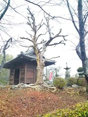 法輪寺の山門