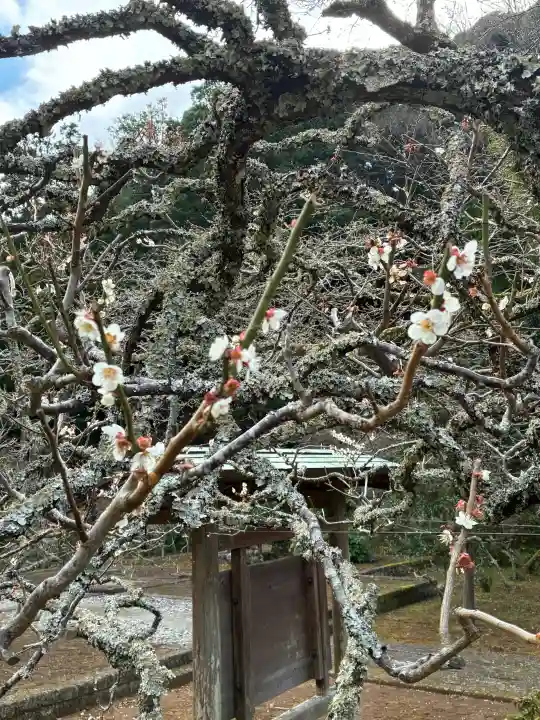 最勝院の{uncategorized: "未分類", other: "その他", undefined: "問題あり", building: "その他建物", grave: "お墓", sacred_gate: "鳥居", guardian: "狛犬", statue: "像", buddha: "仏像", history: "歴史", nature: "自然", garden: "庭園", animal: "動物", pagoda: "塔", temizu: "手水舎", mountain_gate: "山門・神門", sanctuary: "本殿・本堂", subordinate: "末社・摂社", art: "芸術", scenery: "景色", jizo: "地蔵", ema: "絵馬", goshuin: "御朱印", omikuji: "おみくじ", items: "授与品その他", amulet: "お守り", goshuincho: "御朱印帳", eats: "食事", festival: "お祭り", votive_dance: "神楽", shichigosan: "七五三参", wedding: "結婚式", experience: "体験その他", initially: "初詣", around: "周辺", anti_infection: "感染症対策"}