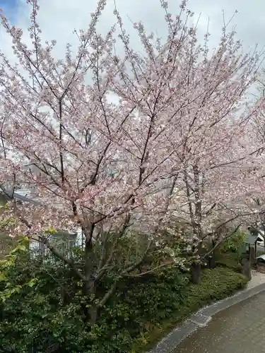 赤城神社(東京都)