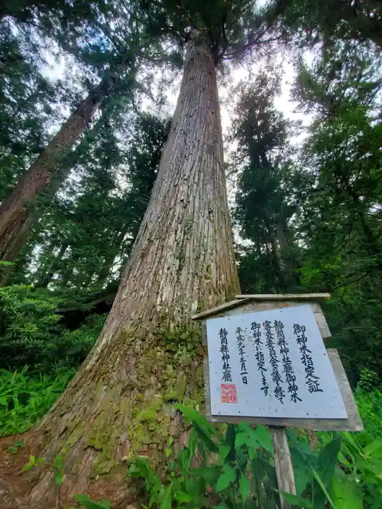 小國神社の自然