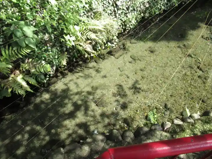 谷保天満宮(東京都)
