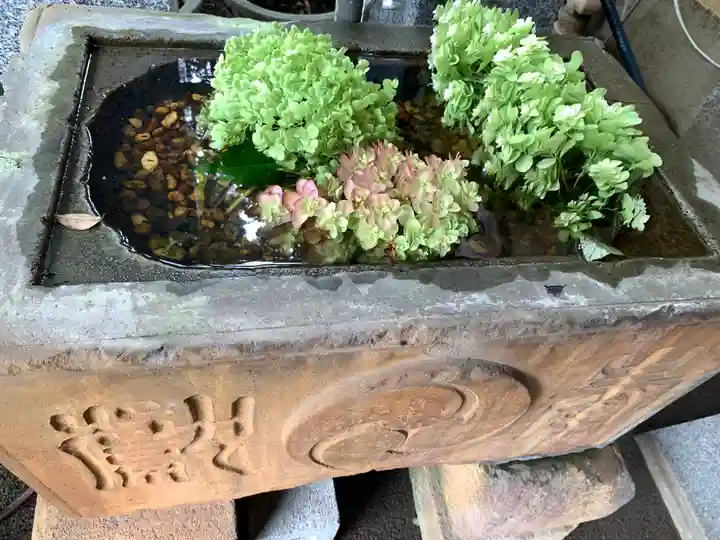 菊名神社の手水舎