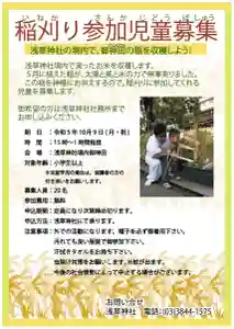 浅草神社(東京都) 2023年10月09日(月)〜(2023年09月27日(水) 13時30分15秒投稿)