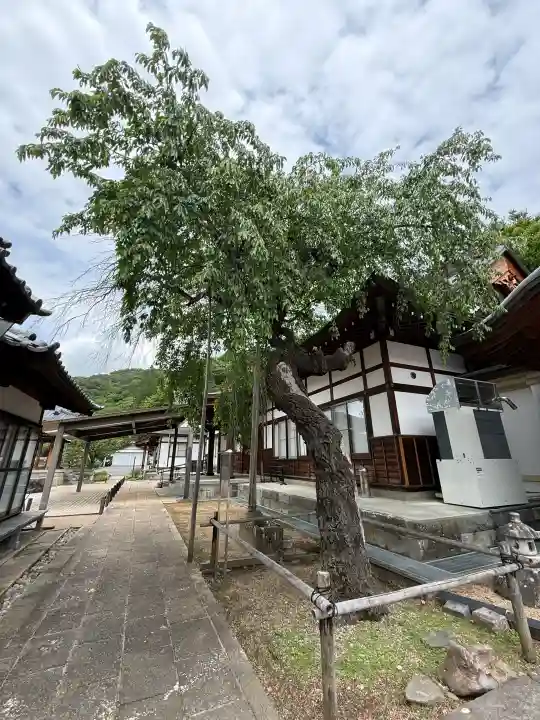 温泉寺(長野県)