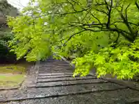 東大寺 俊乗堂のその他建物