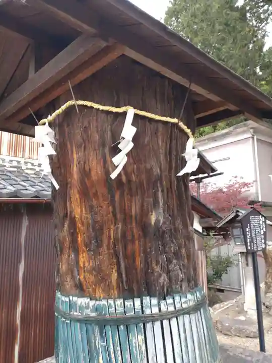 鏡神社(滋賀県)
