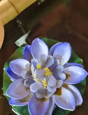 寛永寺開山堂(東京都)