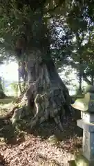 鉾山神社の自然