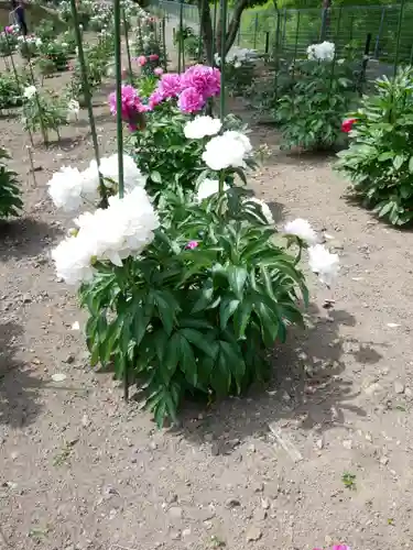 金蛇水神社(宮城県)