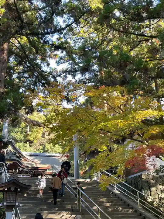 大神神社の{uncategorized: "未分類", other: "その他", undefined: "問題あり", building: "その他建物", grave: "お墓", sacred_gate: "鳥居", guardian: "狛犬", statue: "像", buddha: "仏像", history: "歴史", nature: "自然", garden: "庭園", animal: "動物", pagoda: "塔", temizu: "手水舎", mountain_gate: "山門・神門", sanctuary: "本殿・本堂", subordinate: "末社・摂社", art: "芸術", scenery: "景色", jizo: "地蔵", ema: "絵馬", goshuin: "御朱印", omikuji: "おみくじ", items: "授与品その他", amulet: "お守り", goshuincho: "御朱印帳", eats: "食事", festival: "お祭り", votive_dance: "神楽", shichigosan: "七五三参", wedding: "結婚式", experience: "体験その他", initially: "初詣", around: "周辺", anti_infection: "感染症対策"}