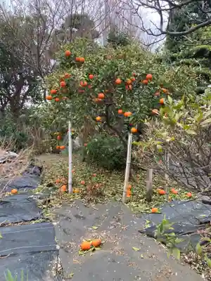 長松寺(神奈川県)