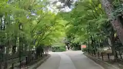 宇治上神社(京都府)