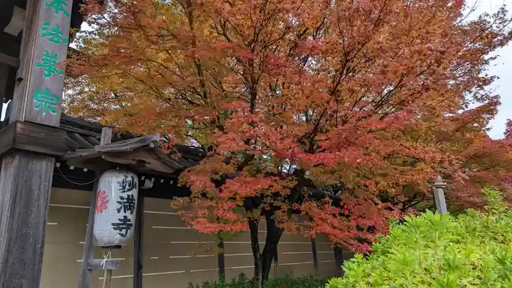 妙満寺(京都府)
