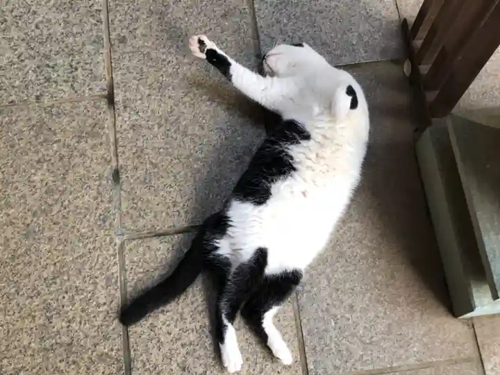 王子神社(徳島県)