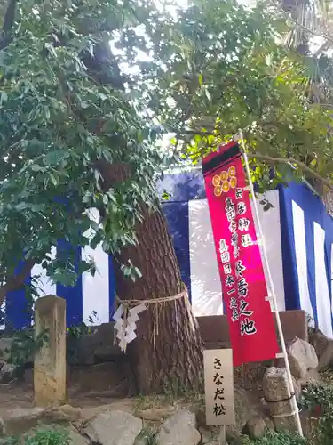 安居神社の自然