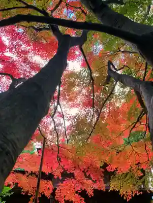 滑川神社 - 仕事と子どもの守り神(福島県)