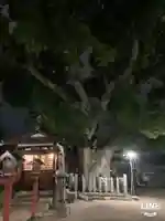 伯光神社の自然