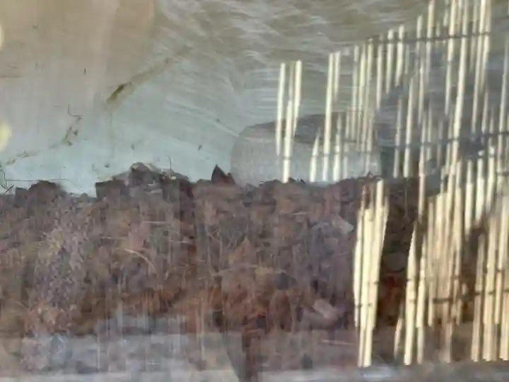 八坂神社(群馬県)