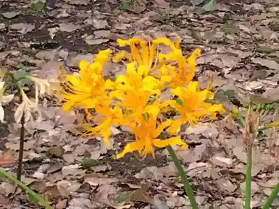 横浜　西方寺(神奈川県)