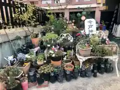 今戸神社の庭園