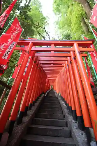 日枝神社の鳥居