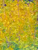宇賀神社(京都府)