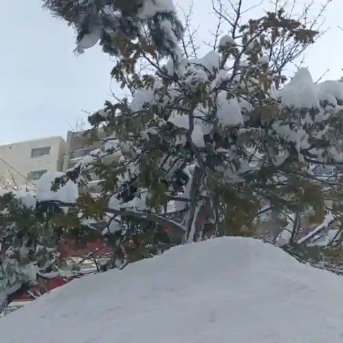 彌彦神社　(伊夜日子神社)(北海道)