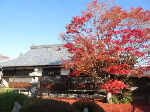 源光庵の本殿・本堂