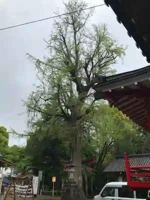 下総国三山　二宮神社のその他建物