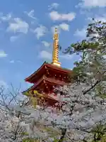 高幡不動尊 金剛寺(東京都)