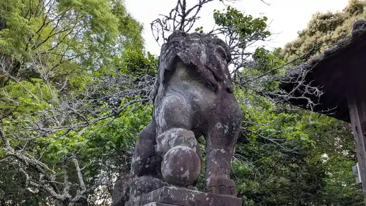 富岡天満宮の狛犬