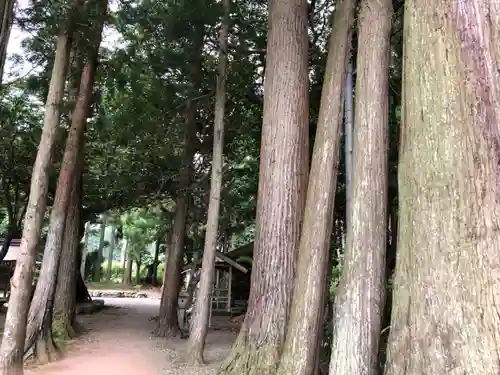 静志神社の自然