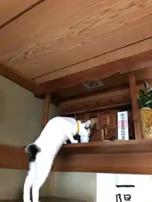 愛宕神社の動物