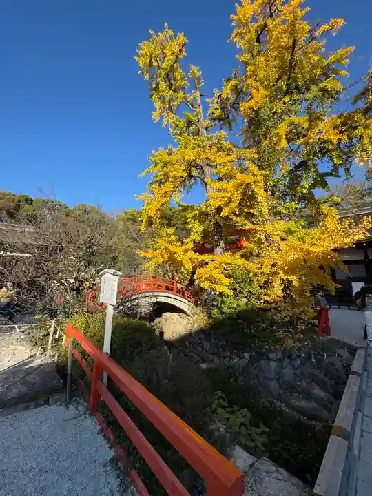 賀茂御祖神社(下鴨神社)(京都府)