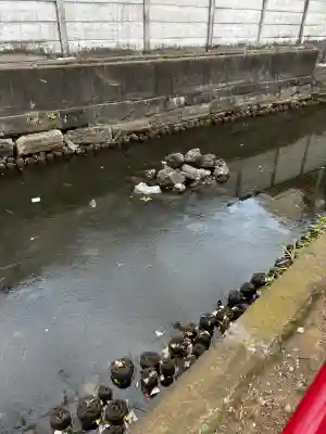 磐井神社の{uncategorized: "未分類", other: "その他", undefined: "問題あり", building: "その他建物", grave: "お墓", sacred_gate: "鳥居", guardian: "狛犬", statue: "像", buddha: "仏像", history: "歴史", nature: "自然", garden: "庭園", animal: "動物", pagoda: "塔", temizu: "手水舎", mountain_gate: "山門・神門", sanctuary: "本殿・本堂", subordinate: "末社・摂社", art: "芸術", scenery: "景色", jizo: "地蔵", ema: "絵馬", goshuin: "御朱印", omikuji: "おみくじ", items: "授与品その他", amulet: "お守り", goshuincho: "御朱印帳", eats: "食事", festival: "お祭り", votive_dance: "神楽", shichigosan: "七五三参", wedding: "結婚式", experience: "体験その他", initially: "初詣", around: "周辺", anti_infection: "感染症対策"}