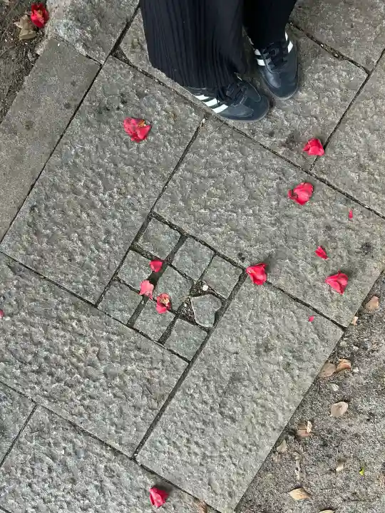 堤治神社の{uncategorized: "未分類", other: "その他", undefined: "問題あり", building: "その他建物", grave: "お墓", sacred_gate: "鳥居", guardian: "狛犬", statue: "像", buddha: "仏像", history: "歴史", nature: "自然", garden: "庭園", animal: "動物", pagoda: "塔", temizu: "手水舎", mountain_gate: "山門・神門", sanctuary: "本殿・本堂", subordinate: "末社・摂社", art: "芸術", scenery: "景色", jizo: "地蔵", ema: "絵馬", goshuin: "御朱印", omikuji: "おみくじ", items: "授与品その他", amulet: "お守り", goshuincho: "御朱印帳", eats: "食事", festival: "お祭り", votive_dance: "神楽", shichigosan: "七五三参", wedding: "結婚式", experience: "体験その他", initially: "初詣", around: "周辺", anti_infection: "感染症対策"}