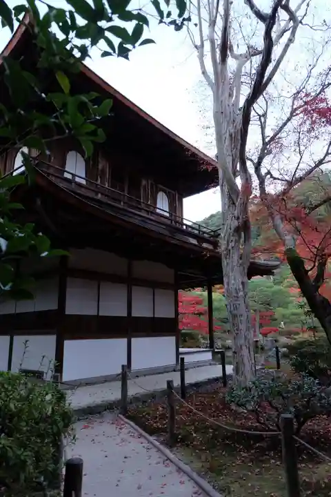 慈照寺(慈照禅寺・銀閣寺)(京都府)